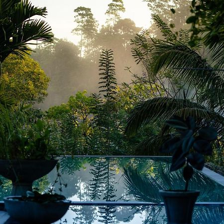 Tea Heights Hotell Kandy Eksteriør bilde