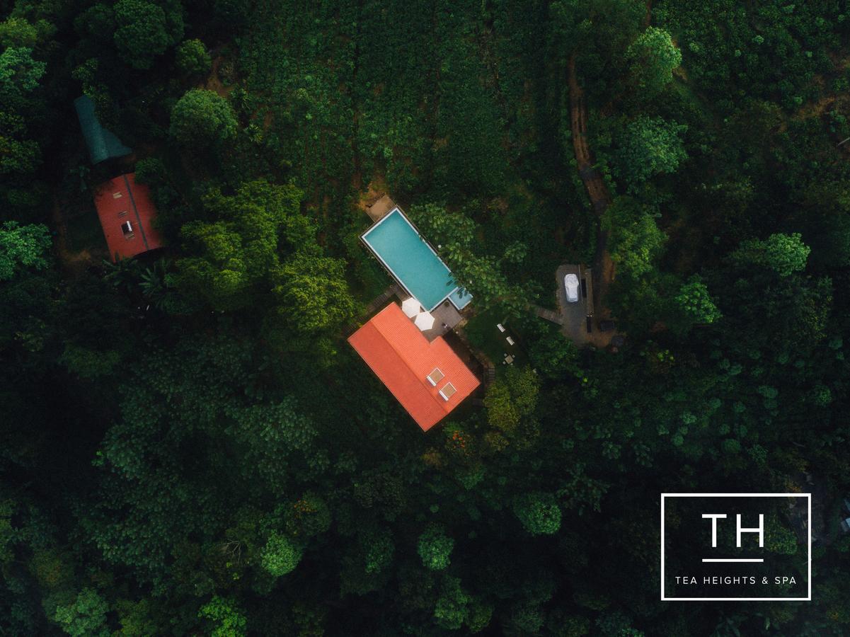 Tea Heights Hotell Kandy Eksteriør bilde