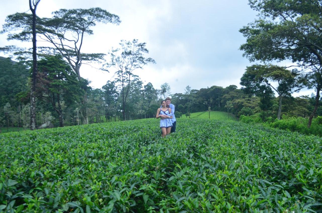 Tea Heights Hotell Kandy Eksteriør bilde