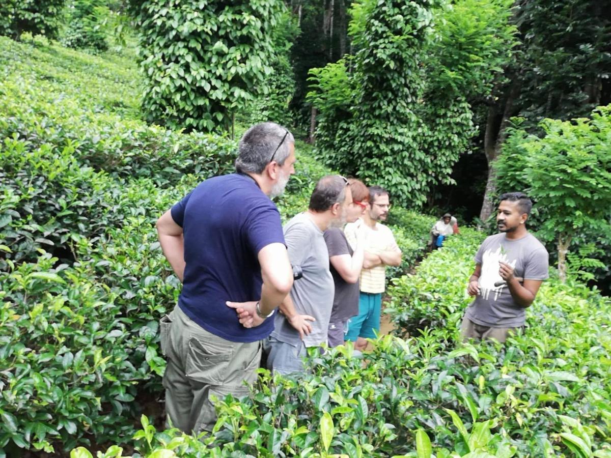 Tea Heights Hotell Kandy Eksteriør bilde